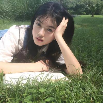 离狼之歌封面